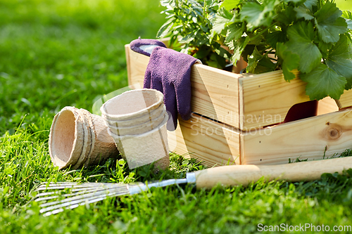 Image of garden tools and flowers in wooden box at summer