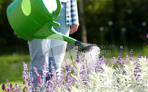 Image of young woman watering flowers at garden