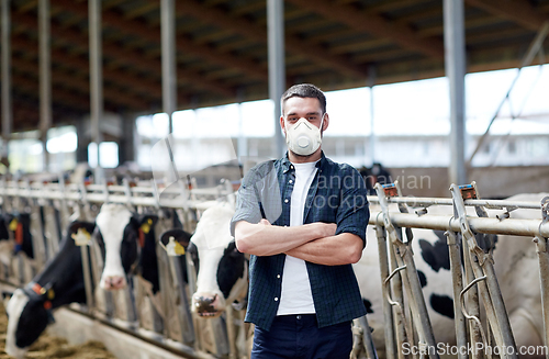 Image of male farmer in mask with cows on dairy farm