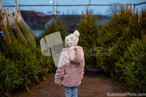 Image of little girl choosing christmas tree at market