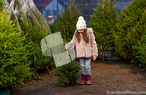 Image of little girl choosing christmas tree at market