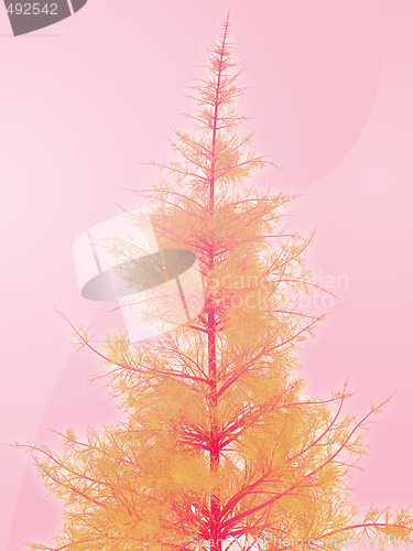 Image of Pine tree illustration