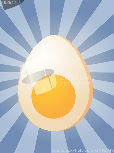 Image of Egg illustration