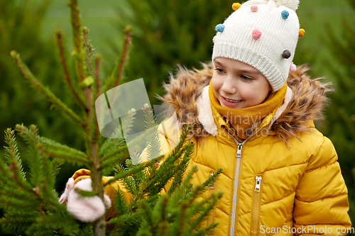 Image of little girl choosing christmas tree at market