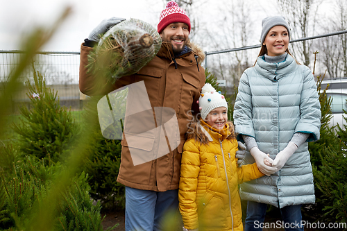 Image of happy family buying christmas tree at market