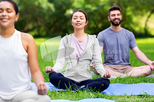 Image of group of happy people doing yoga at summer park