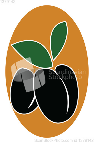 Image of Black olives, vector or color illustration.