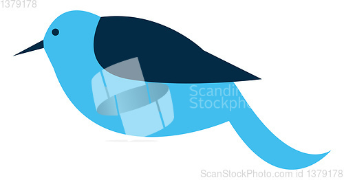 Image of Bird with pointed beak vector or color illustration