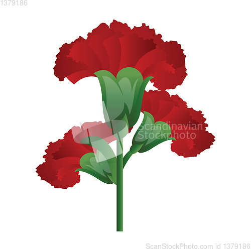 Image of Vector illustration of red carnation  flowers  on white backgrou