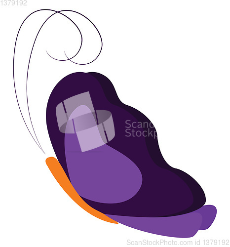 Image of A beautiful purple butterfly vector or color illustration