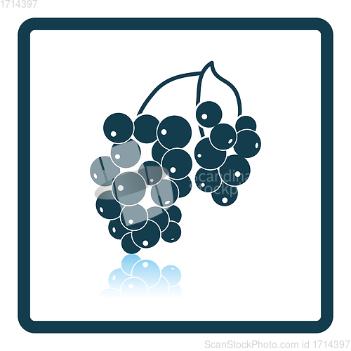 Image of Icon of Black currant