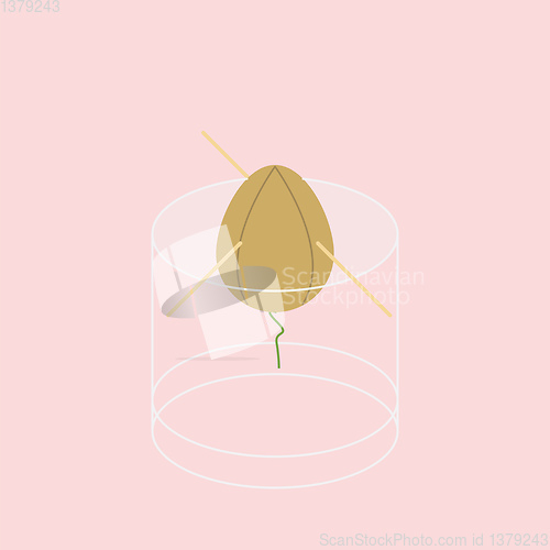 Image of Clipart of an avocado seed over pink background vector or color 