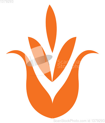 Image of Orange flower petals vector or color illustration