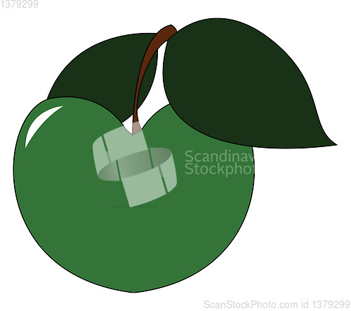 Image of A fresh green apple with leaf vector or color illustration