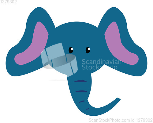 Image of Baby elephant with trunk vector or color illustration