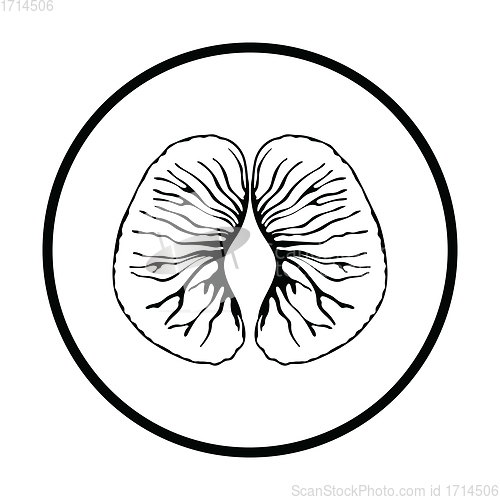 Image of Icon of Mandarin