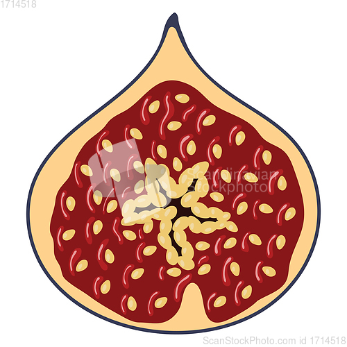 Image of Flat design icon of Fig fruit in ui colors. 