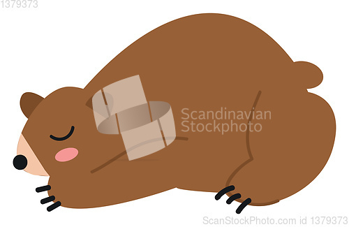 Image of A brown bear sleeping vector or color illustration