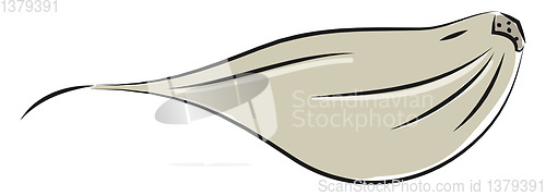 Image of Garlic clove 