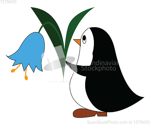 Image of Black and white penguine holding a blue flower vector illustrati