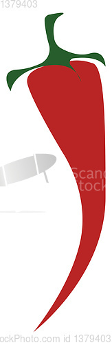 Image of A red chili vector or color illustration