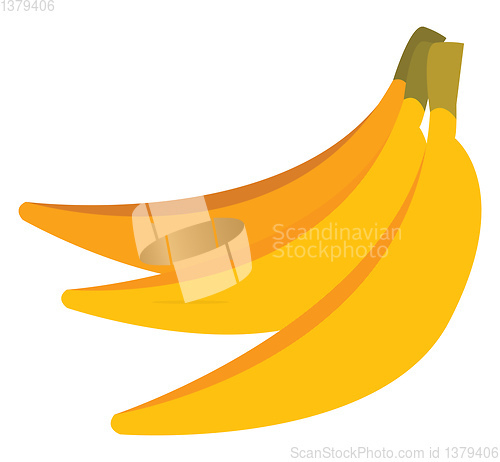 Image of Bananas vector or color illustration
