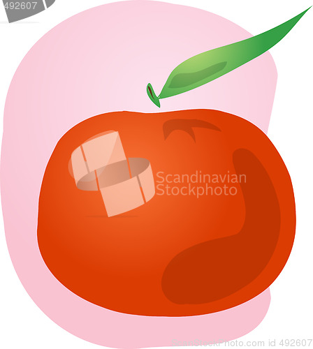Image of Tangerine fruit illustration
