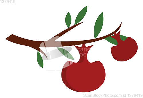 Image of Two red apples on a brown tree branch with green leaves vector i