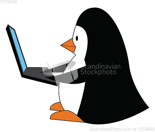 Image of Black and white penguine with a laptop vector illustration on wh