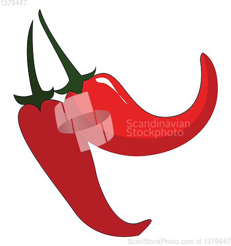 Image of Two red chilis with green petiols vector illustration on white b