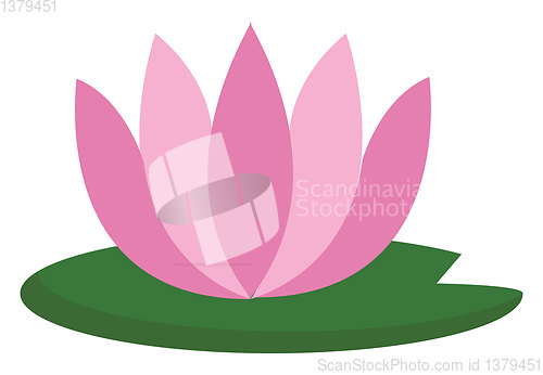 Image of Simple pink lotus vector illustration on white background 
