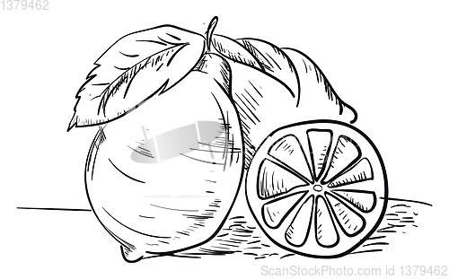 Image of A black sketch of lemon with leaves and a sliced lemon vector or