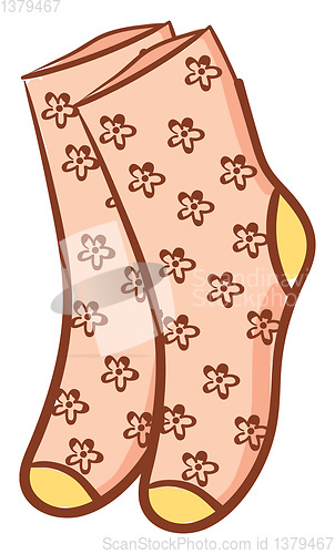 Image of Floral socks vector or color illustration