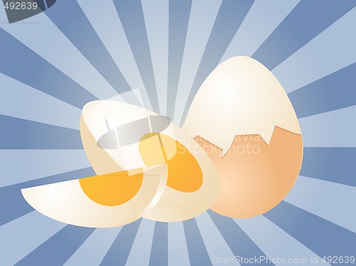 Image of Egg illustration