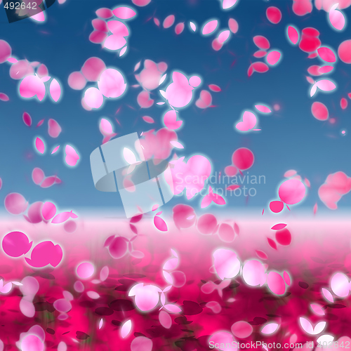 Image of Cherry blossoms