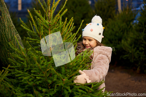 Image of little girl choosing christmas tree at market