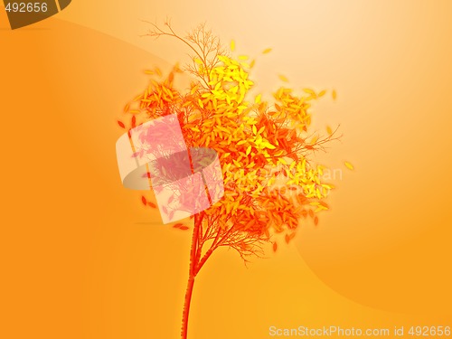 Image of Autumn tree