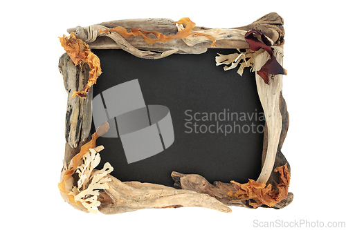 Image of Natural Seaweed and Driftwood Background Border 