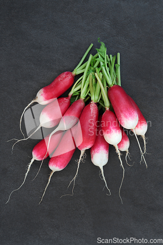 Image of Radish Vegetables for Immune System Boost