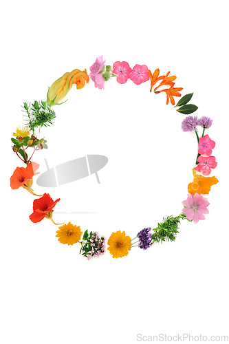 Image of Medicinal Summer Flower and Herb Wreath