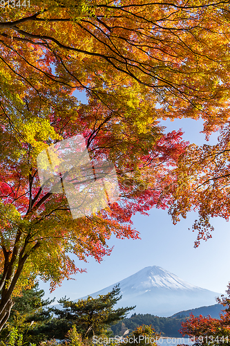 Image of Mt Fuji in autumn 
