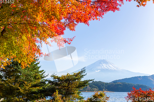 Image of Mt.Fuji in autumn at Lake kawaguchiko in japan