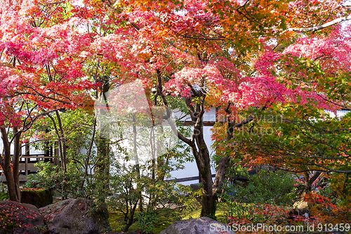 Image of Kokoen Garden in Autumn