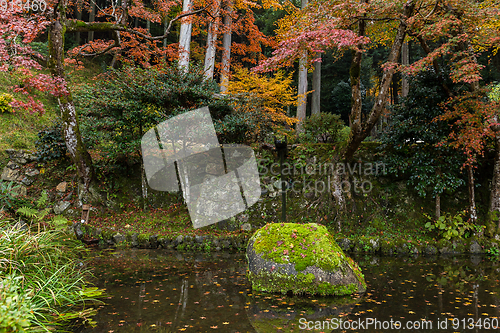 Image of Park in autuman season