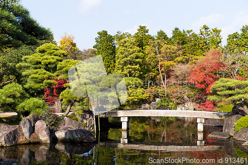 Image of Japanese garden in autumn