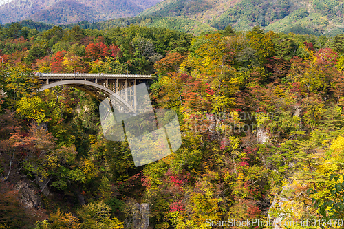 Image of Bridge passing though Naruko Gorge in autumn