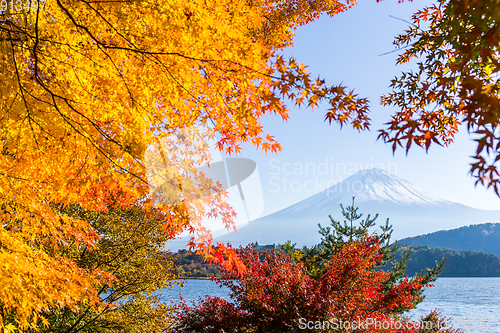 Image of Mount Fuji and lake kawaguchi 