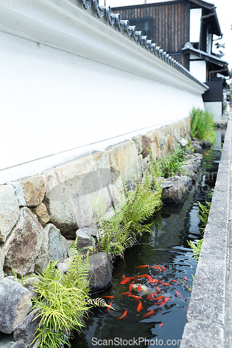 Image of Koi fish pond at street