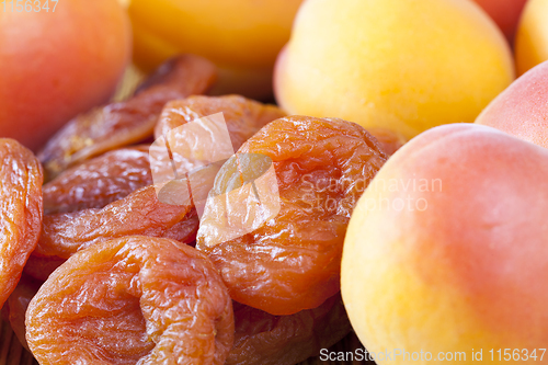 Image of very dried apricots