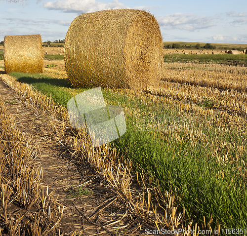 Image of twisted straw